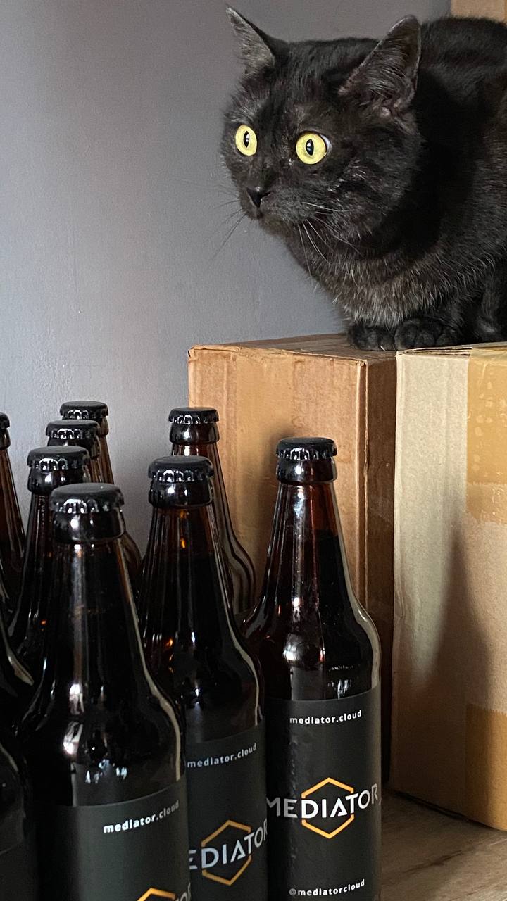 Кот выражает обеспокоенность количеству зарегистрировавшихся