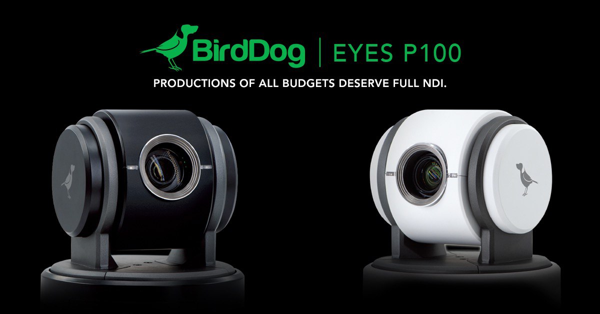 Ей. BirdDog сделали PTZ камеру.  SDI + NDI единомоментно.  1