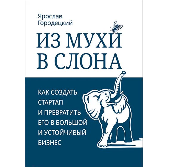 Библиотека стримера - Ярослав Городецкий, директор CDNvideo,