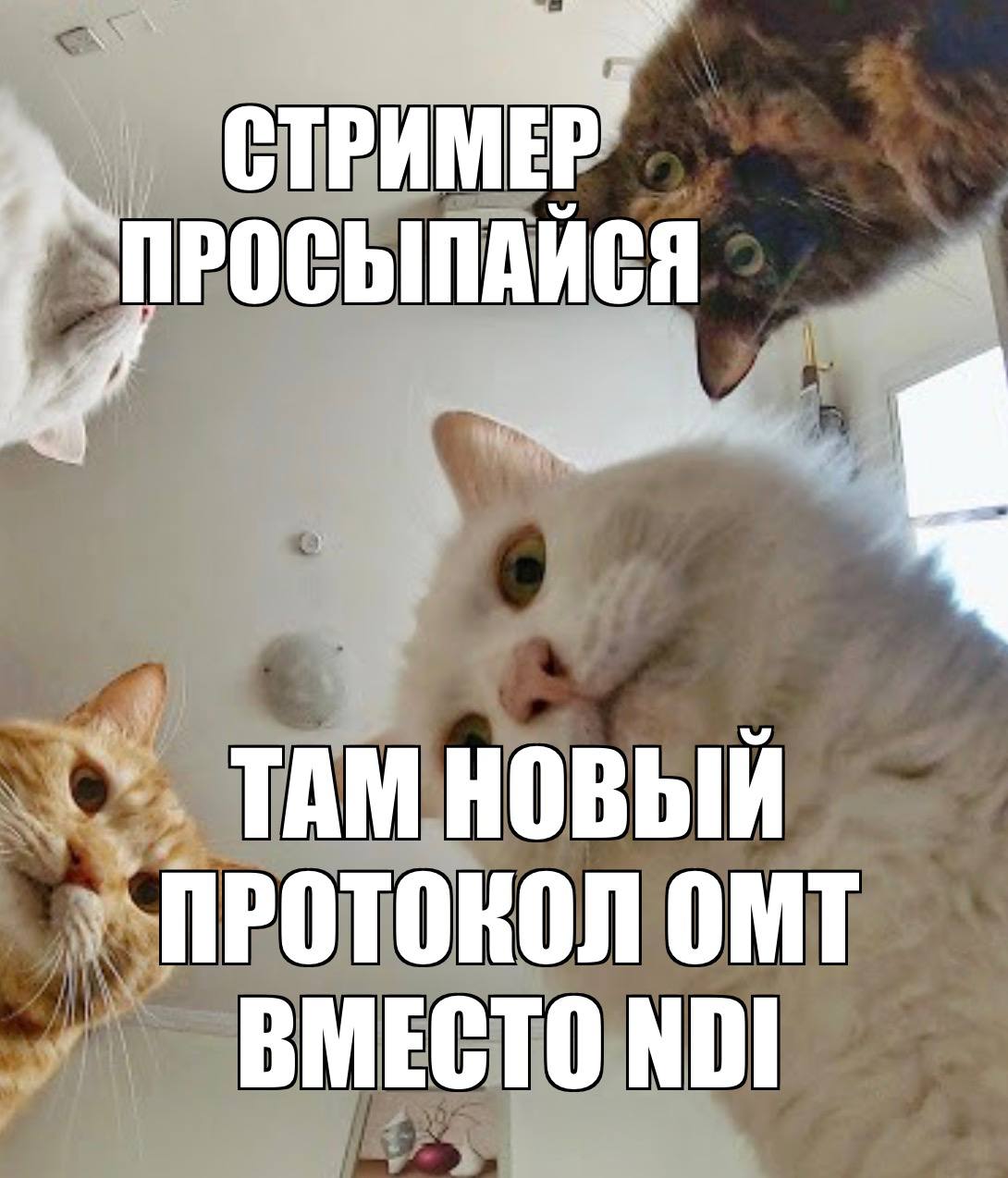 Стримеров снова послали на три буквы.   Новые три буквы для